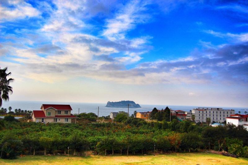 Jeju Land Pension Seogwipo Extérieur photo